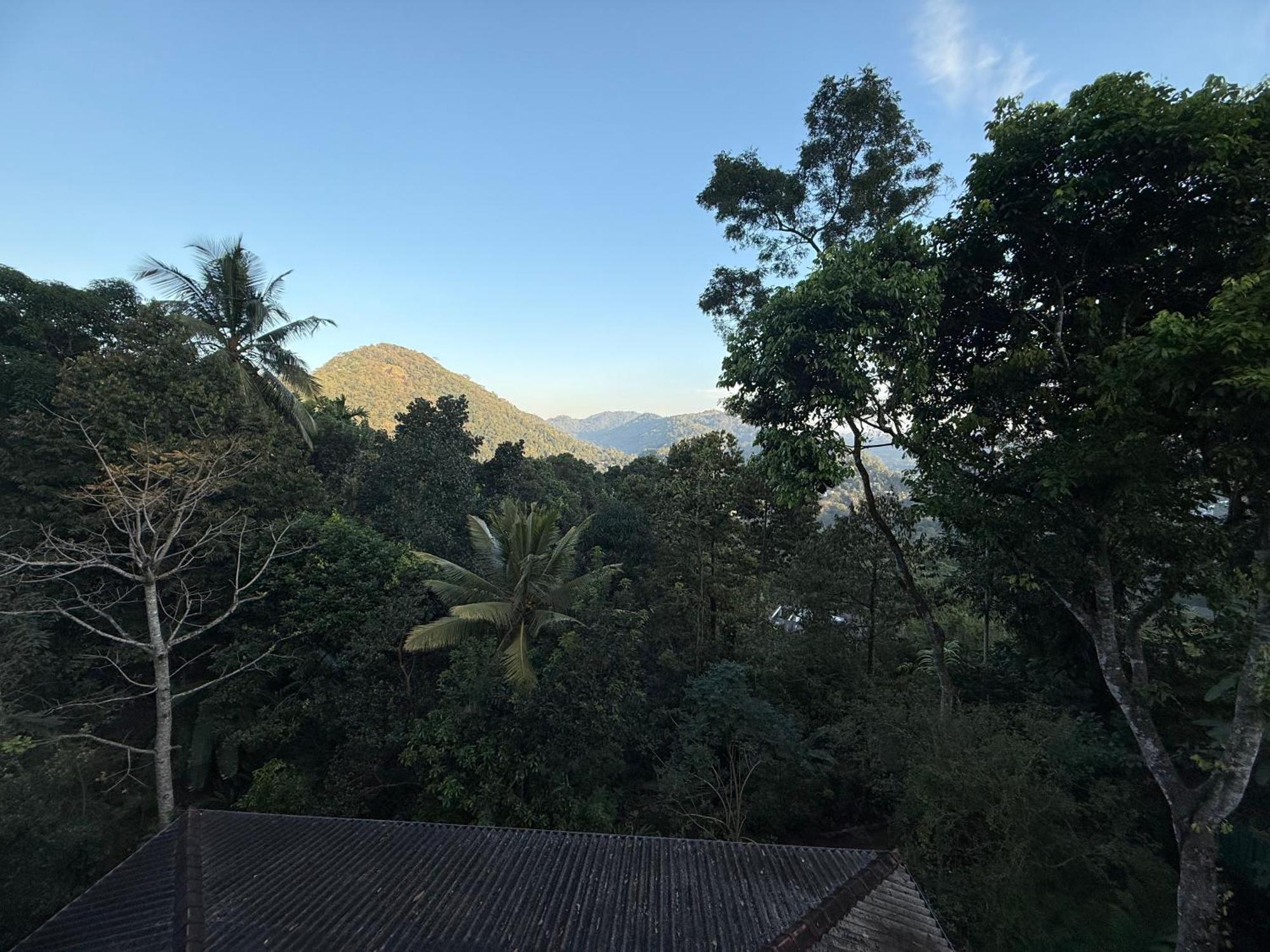 Araliya Home Stay Kandy Bagian luar foto