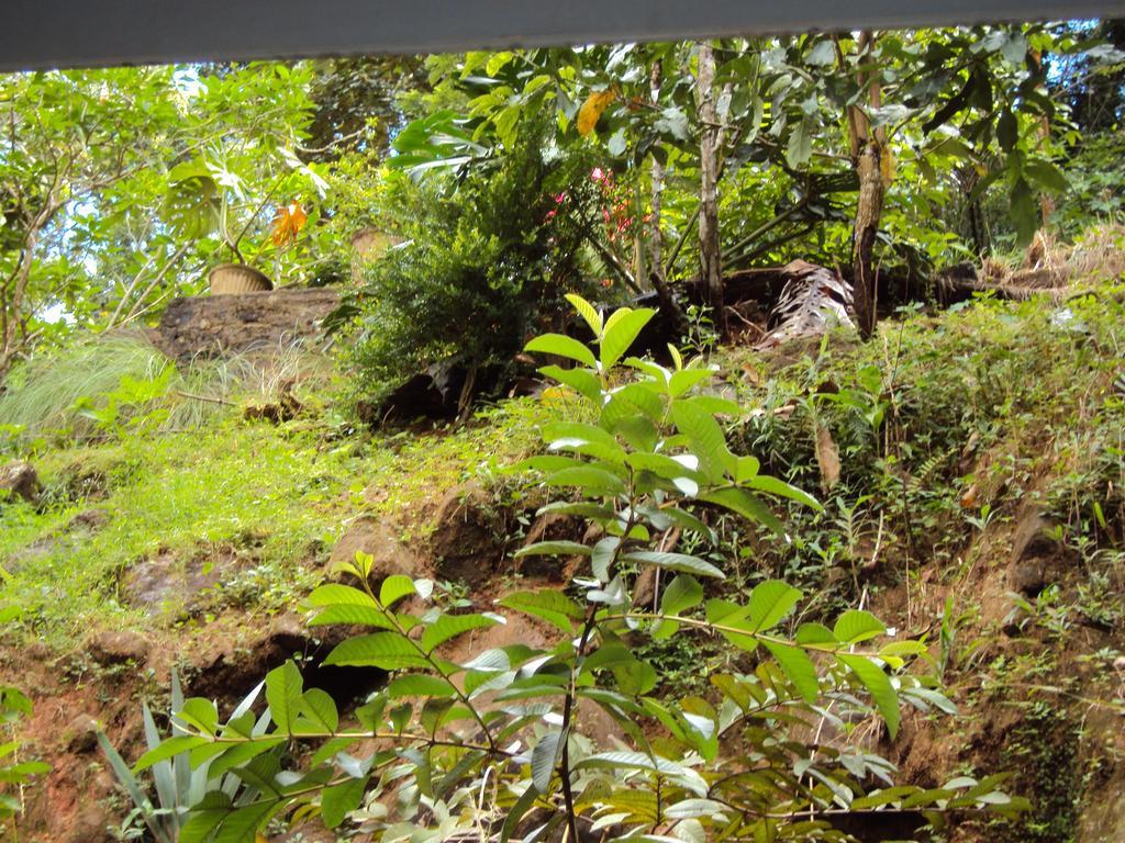 Araliya Home Stay Kandy Bagian luar foto