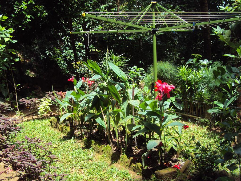 Araliya Home Stay Kandy Bagian luar foto