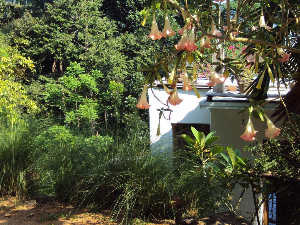 Araliya Home Stay Kandy Bagian luar foto