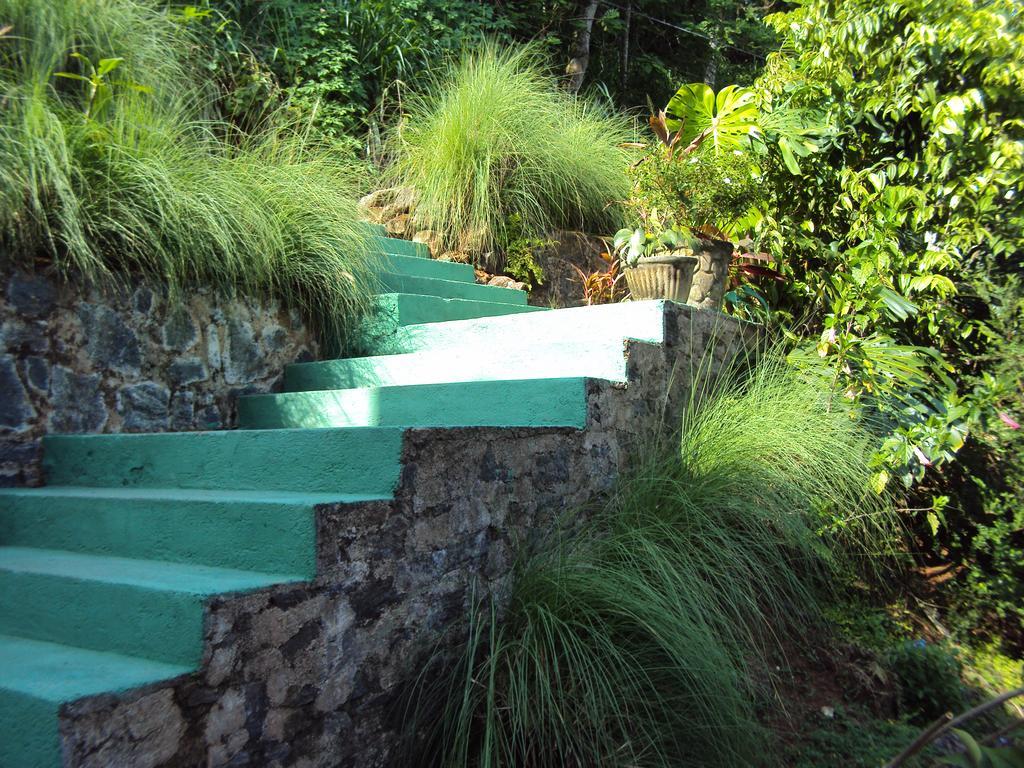 Araliya Home Stay Kandy Bagian luar foto